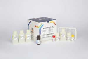 Brucella IgG / pishtaz teb / پیشتاز طب / کیت تشخیص طبی 